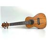 Image 3 : KUMU Koa Ukulele with Lessons from Roy Sakuma