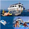 Image 2 : Deluxe Snorkel & Dolphin Watch for 2 by Body Glove Cruises on the Big Island