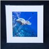 Image 2 : Five Autographed John Johnson Photographs from One Breath Photo
