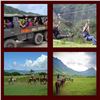Image 2 : Gift Certificate for any Experience Tour at Kualoa Ranch