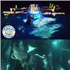 Image 2 : Manta Ray Night Time Snorkeling For 2 on the Big Island