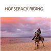Image 1 : Group Sunshine Horseback Ride for 2