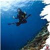 Image 1 : Mindful Meditation and Scuba Dive Package at Ola Paradive