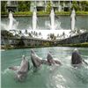 Image 2 : Two Half-hour Dolphin Encounter Tickets at Dolphin Quest Oahu