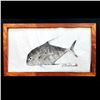 Image 1 : 19"x36" Gyotaku Fish Painting by Naoki Framed in Koa