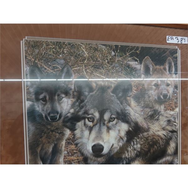 Framed Wolf Print 38" x 29"