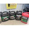 Image 2 : 14.5 Litres of Various Oils : 8L Antifreeze, 10W30 15W40, Snowmobile