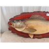 Image 2 : Mounted Pickeral Fish 28" Long