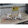 Image 1 : Moose Horn Sheds & Deer Sheds