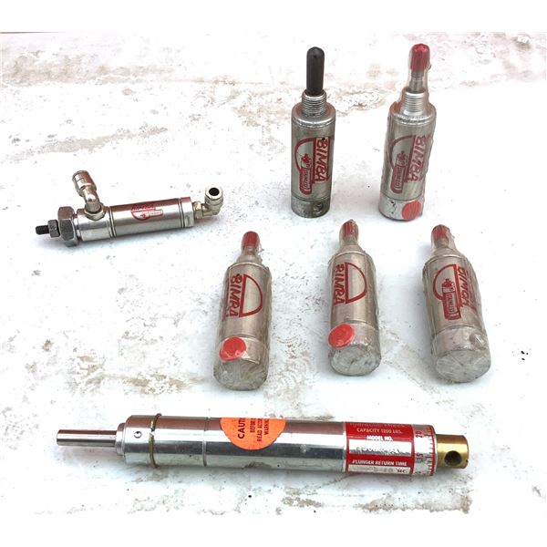 Bimba Stainless Air Cylinders