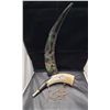 Image 1 : MUSICAL BULL HORN & CARVED HORN