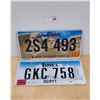 Image 1 : SOUTH DAKOTA & IOWA LICENSE PLATES