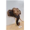 Image 2 : IMPRESSIVE WOOD ELEPHANT BUST