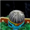 Image 5 : Historic Native American Hopi Harvest Kachina