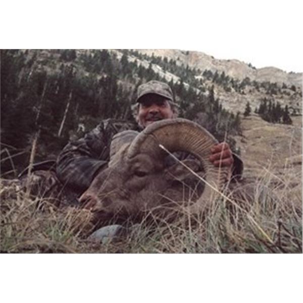 Alberta Mountain Mule Deer Hunt with Blue Bronna Outfitting