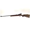Image 2 : CIL Anschutz Model 180 Single Shot Rifle 22 S/L/LR 24" Barrel