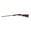 Image 2 : Savage Pump Action Rifle 22 S/L/LR 24" Octagon Barrel