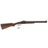 Image 1 : Chiappa Double Badger Break Action Combo Gun 22LR / 20 Gauge 19" Barrels Wood Stock, New