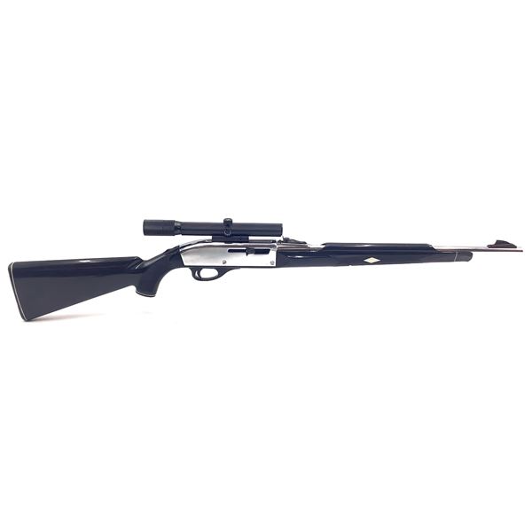 Remington Nylon 66 22 LR Semi Auto Rifle, Stainless/ Black with Bushnell Scopechief 3-8 X Scope