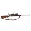 Image 1 : Remington 722 Bolt Action Rifle 244 Rem 26" Barrel Wood Stock With 10X Bushnell Scope Chief