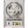 Image 2 : 2021-(P) Type 1 $1 American Silver Eagle Coin PCGS MS69 First Strike Emergency Issue