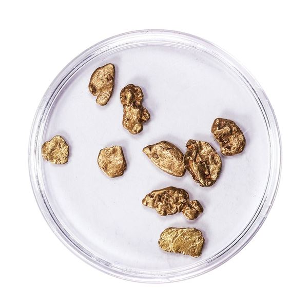 Lot of Gold Nuggets 2.82 Grams Total Weight