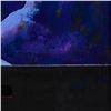 Image 2 : Esoteric Dream I by Hong Original