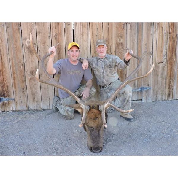 Unguided Colorado Archery Elk Hunt