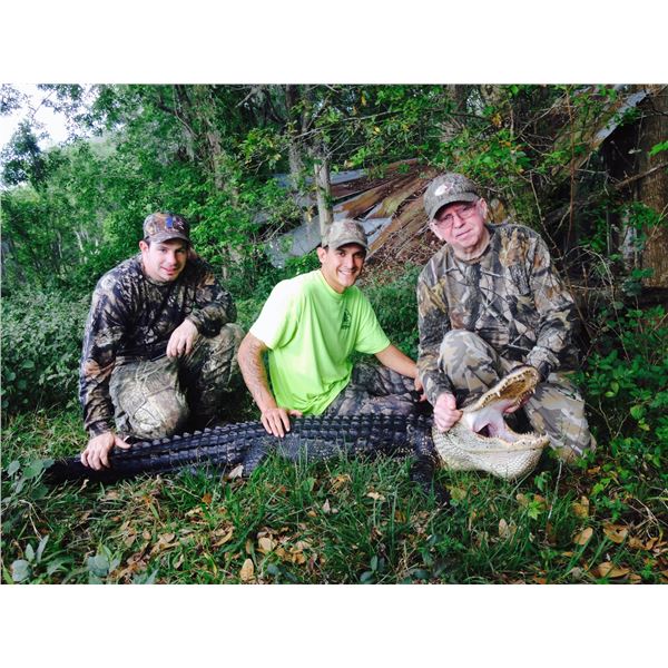 8’ Alligator Hunt in Florida