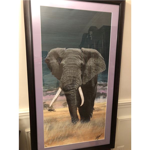 Majestic Elephant  2023