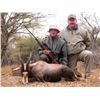 Image 2 : Restless Africa Safaris 7-Day Plains Game Hunt for up to 4 hunters    2023