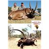 Image 4 : Restless Africa Safaris 7-Day Plains Game Hunt for up to 4 hunters    2023