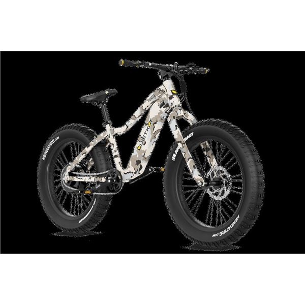 Quiet Kat e Bike, Pioneer 750 watt