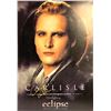 Image 1 : Autographed Twilight Poster