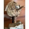 Image 2 : 1929 DRIFT WOOD PINOCCHIO - JOHN CAVILL CARVING - NOVA SCOTIA