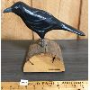 Image 1 : WOODEN CROW CARVING - SIGNED KERRAS JEFFERY - 6 x 10 x 12in