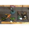 Image 1 : LOT OF 3 - DECORATIVE BIRDS 