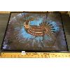 CARL RAY (d. 1987) FRAMED PRINT - 