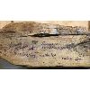Image 4 : LOT OF 2 - SIGNED / CARVED WOODEN BIRDS - SANDERLING IN WINTER