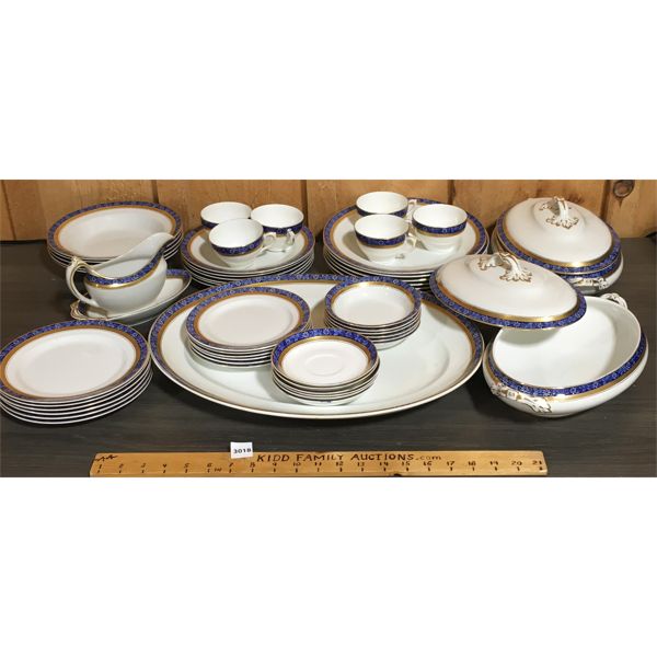 LOSOL VINE PATTERN WARE DINNER SET