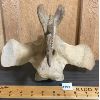 Image 2 : WEATHERED WHALEBONE VERTEBRAE CARVING - 8.5 X 10 X 11in