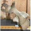 Image 3 : WEATHERED WHALEBONE VERTEBRAE CARVING - 8.5 X 10 X 11in