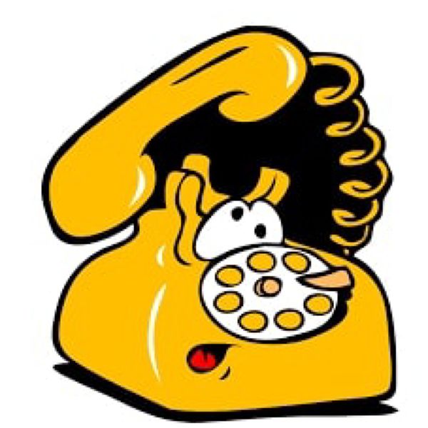 IF YOU EXPERIENCE TECHNICAL DIFFICULTIES DURING THE SALE...