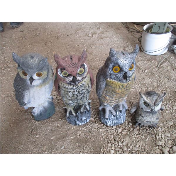 (4) Owls