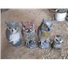 Image 1 : (4) Owls