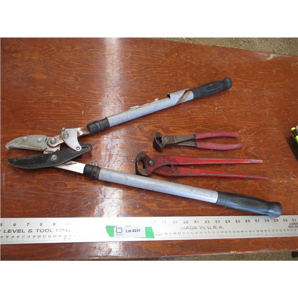 branch trimmer + pliers