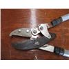 Image 2 : branch trimmer + pliers
