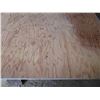 Image 2 : (2) Saw Horses with 4x8 plywood (3/8 thick)