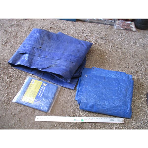 (3) blue tarps