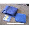 Image 1 : (3) blue tarps